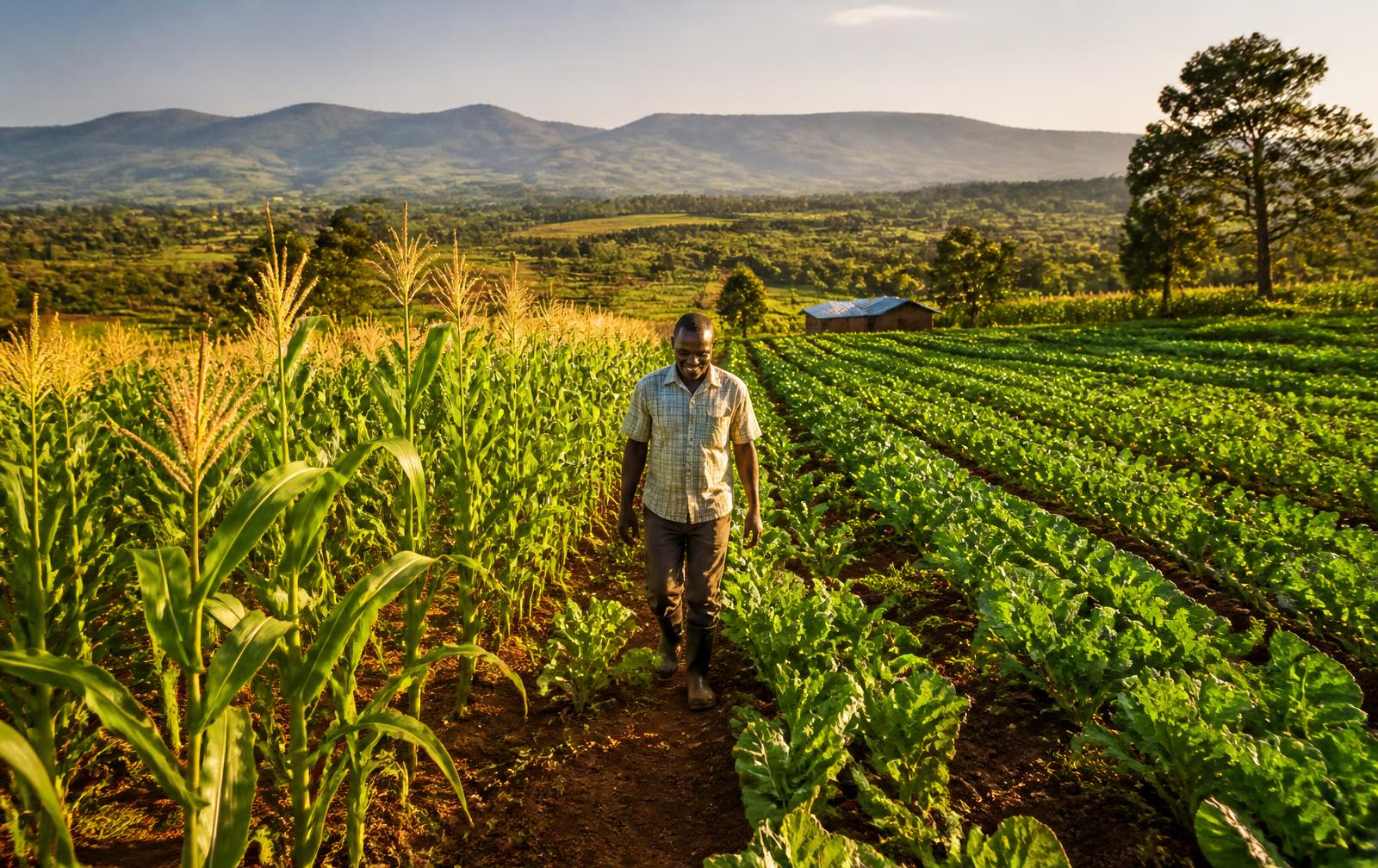 Abundant farmland feeding the region's processors
